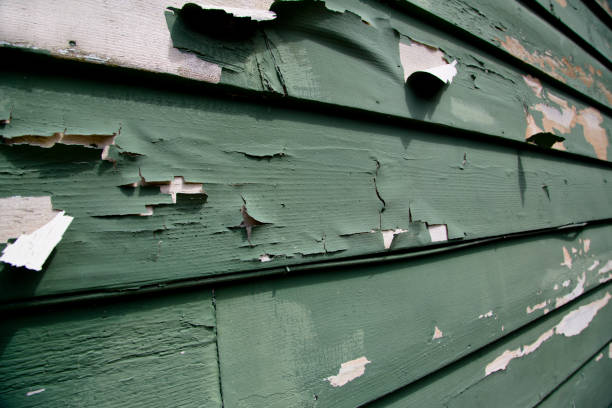 Best Siding Painting and Refinishing  in North El Monte, CA